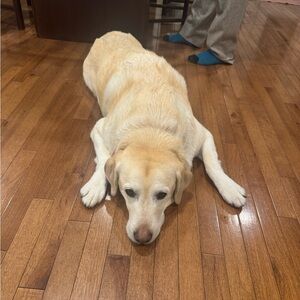 Meet your Posher, Aditi